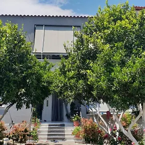 Anila , Divjake Albania